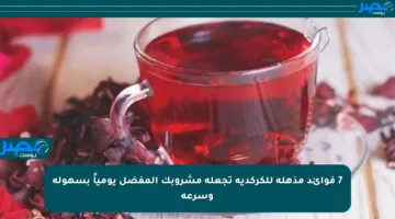 7 فوائد مذهلة للكركدية تجعله مشروبك المفضل يومياً بسهولة وسرعة